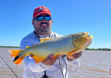 pesca de dorados en Ramallo