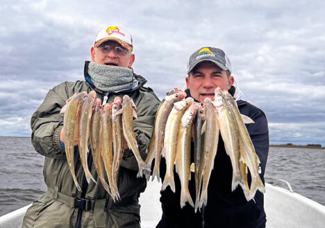 pesca en la laguna de Alsina