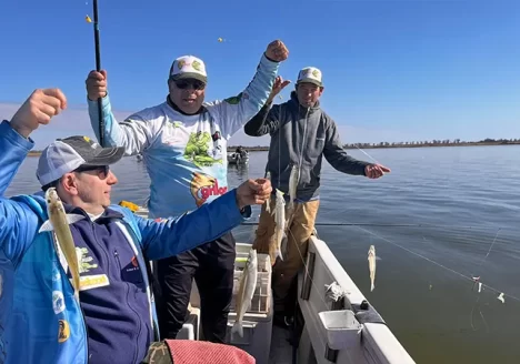 laguna Cuero de Zorro, Trenque Lauquen