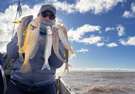 pesca de corvinas en Magdalena