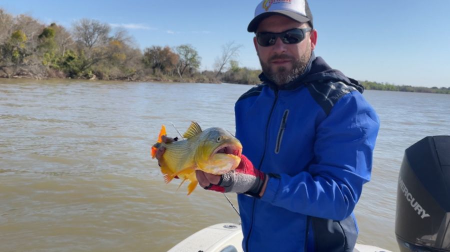 pesca de dorados en Uruguay