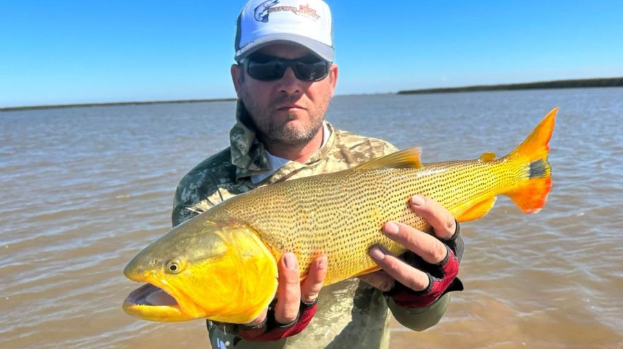 pesca de dorados en los bancos de Oyarbide