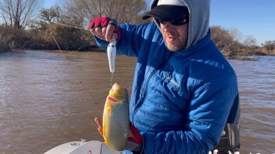 pesca de dorados e Uruguay