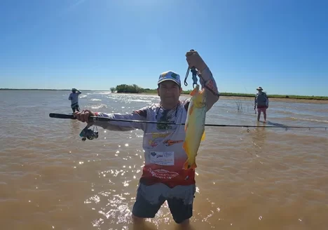 dorados en ramallo