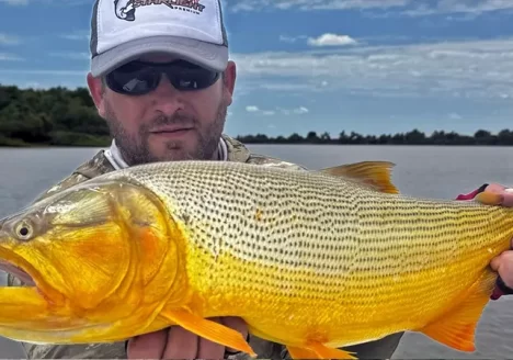 pesca de dorados en Fighiera